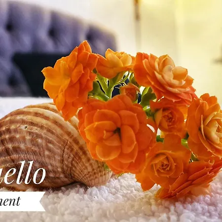 Apartamento Raffaello *